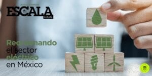 reforma electrica