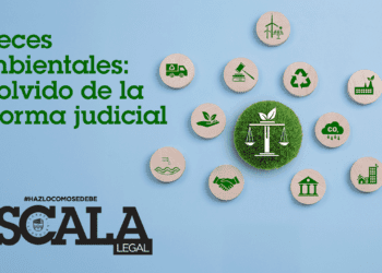 Jueces ambientales: el olvido de la reforma judicial