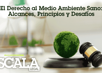 El Derecho al Medio Ambiente Sano: Alcances, Principios y Desafíos