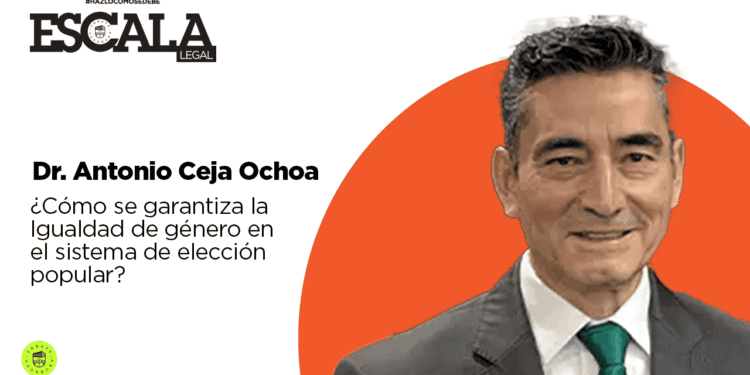 ¿Cómo se garantiza la Igualdad de género en el sistema de elección popular?