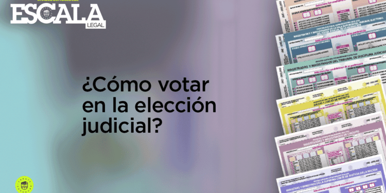 ¿Cómo votar en la elección judicial?