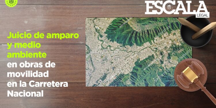Juicio de amparo y medio ambiente en obras de movilidad en la Carretera Nacional de Monterrey