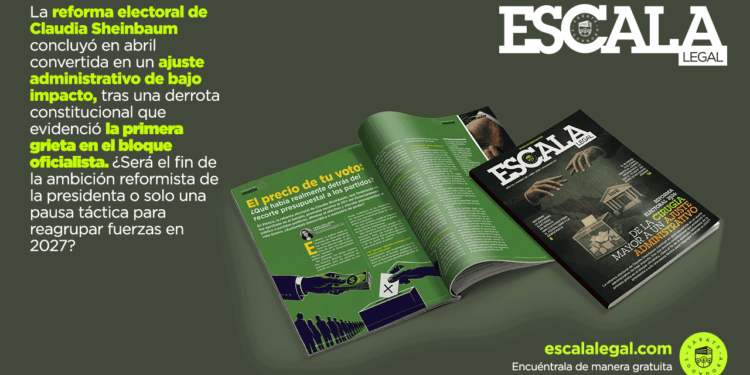 Los claroscuros de la Reforma electoral