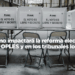 ¿Cómo impactará la reforma electoral en los OPLES y en los tribunales locales?